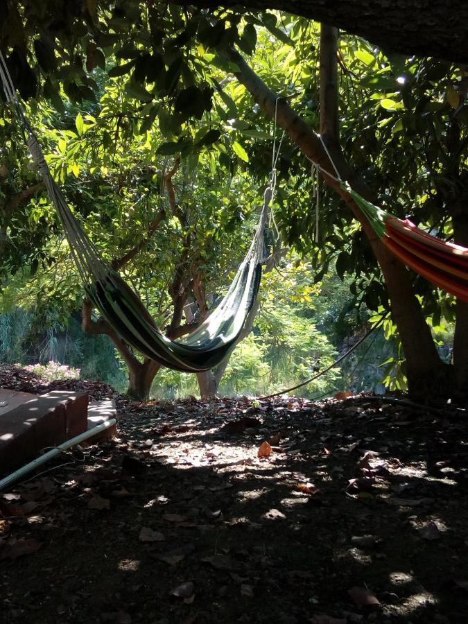 Rural El Oasis Almuñécar