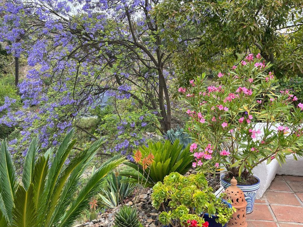 Rural El Oasis Almuñécar